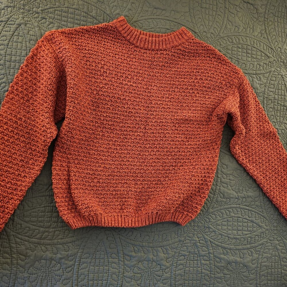 Universal Thread Burnt Orange Crewneck Sweater - Picture 3 of 11
